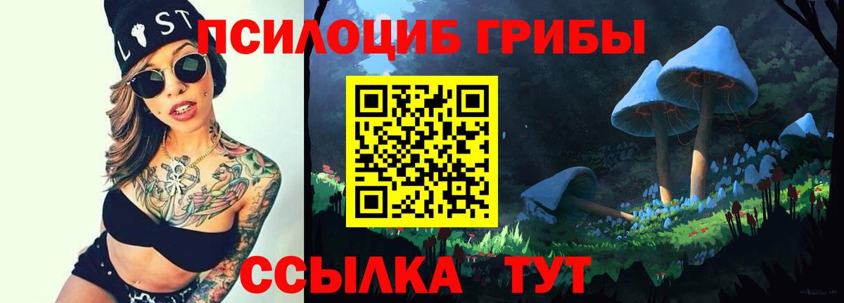 Псилоцибиновые грибы Psilocybine cubensis Рыбинск